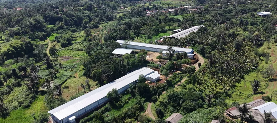 Foto udara beberapa kandang ayam petelur di tengah pepohonan, proyek Cijeruk, Bogor