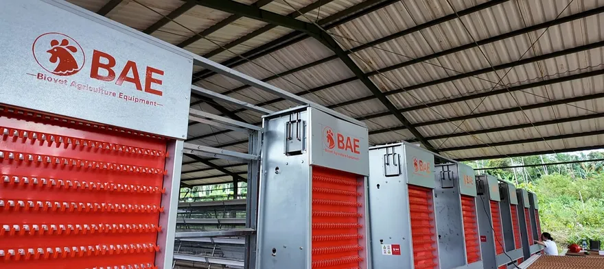 Deretan alat pengumpul telur BAE berwarna merah di kandang tipe A Cibeber, Cianjur