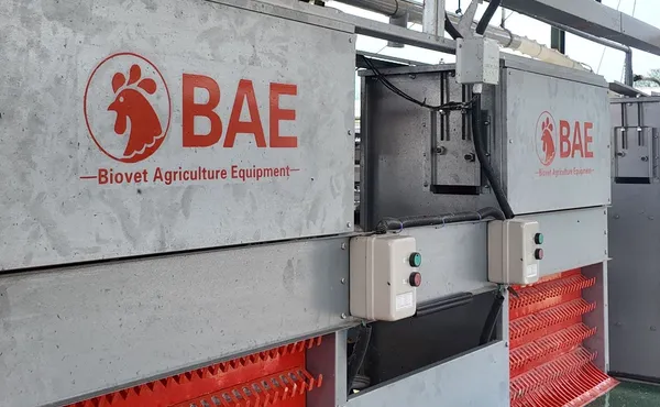 Alat pengumpul telur BAE di kandang ayam petelur proyek Cikalong, Cianjur