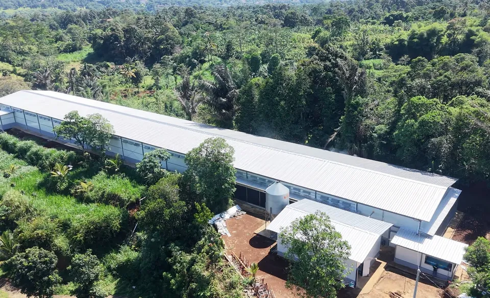 Foto udara kandang ayam petelur tertutup di proyek Cijeruk, Bogor