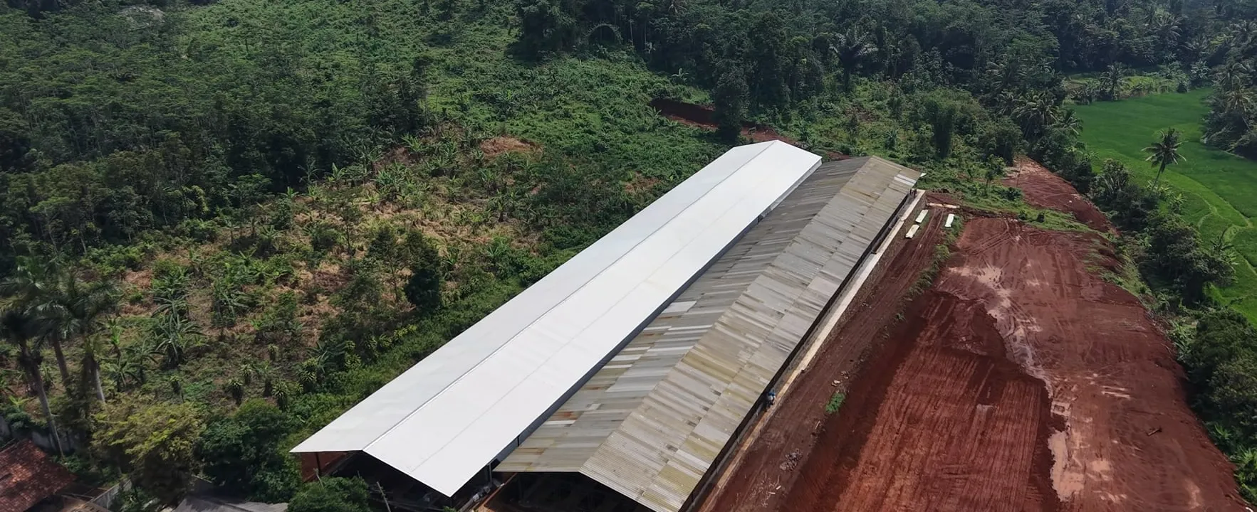Foto udara kandang ayam tipe A terbuka di Cibeber, Cianjur