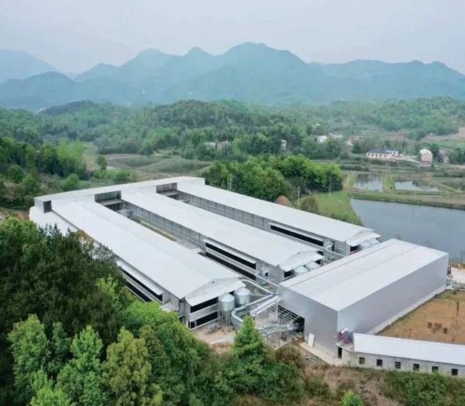 Foto udara kompleks peternakan di daerah pegunungan, proyek Sansui, Guizhou